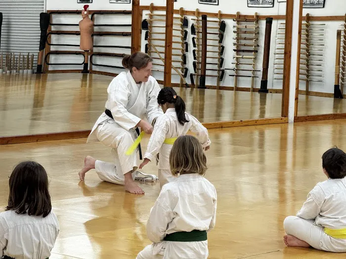 Bushikan Karate Dojo Picture 2