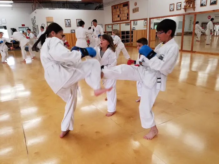 Bushikan Karate Dojo Picture 5