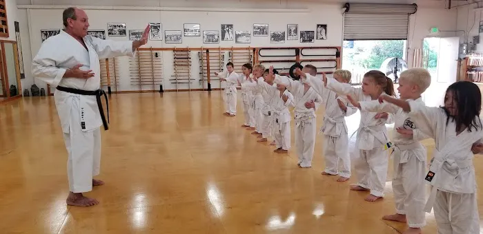 Bushikan Karate Dojo Picture 8