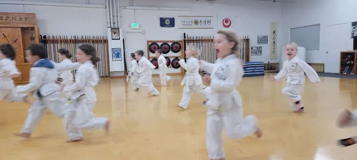 Bushikan Karate Dojo Picture 10