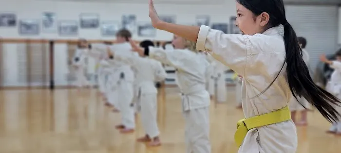 Bushikan Karate Dojo Picture 9