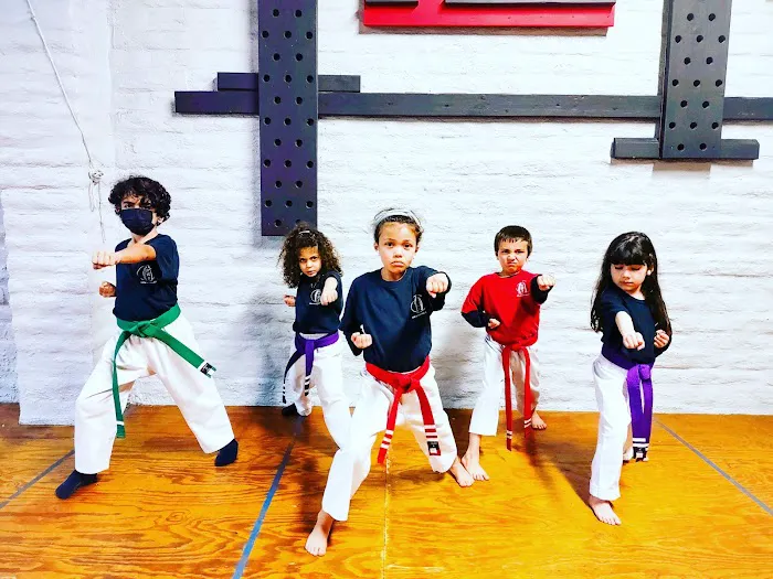 Orion Martial Arts & Supply Picture 1