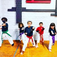 Orion Martial Arts & Supply ico