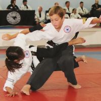 Santa Barbara Dojo ico