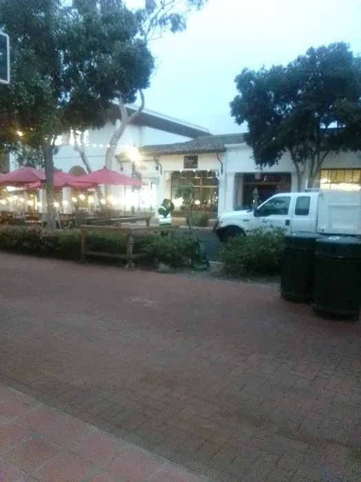 Gracie Barra Santa Barbara Picture 4