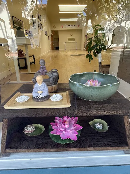 Master Yun Traditional Tai Chi and Kung Fu Picture 1