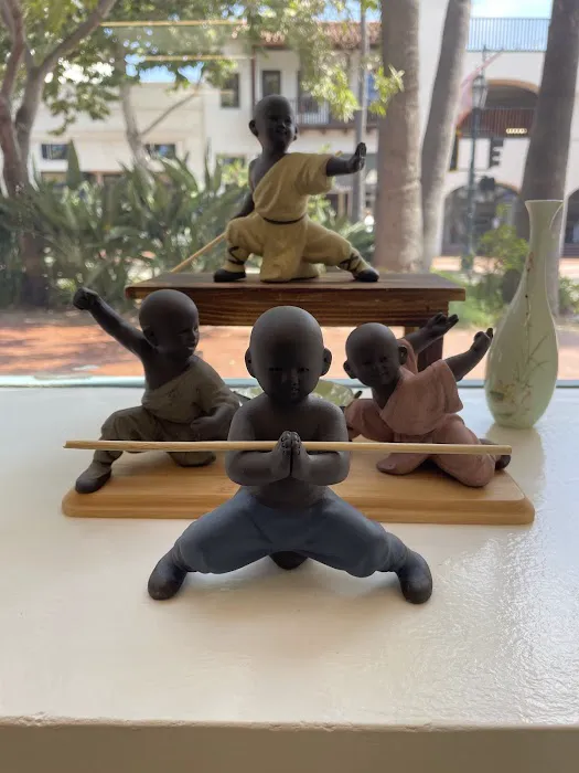 Master Yun Traditional Tai Chi and Kung Fu Picture 5