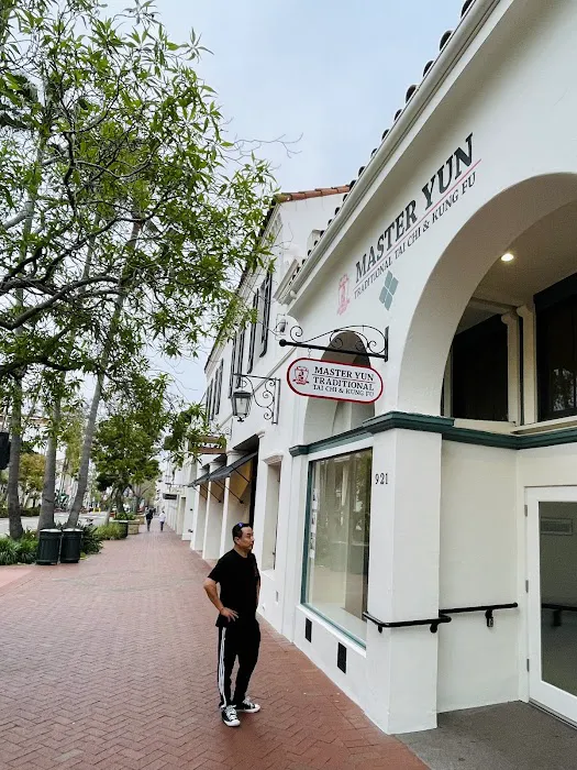 Master Yun Traditional Tai Chi and Kung Fu Picture 6