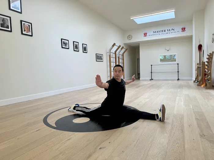 Master Yun Traditional Tai Chi and Kung Fu Picture 7