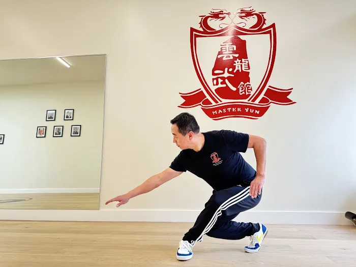 Master Yun Traditional Tai Chi and Kung Fu Picture 10