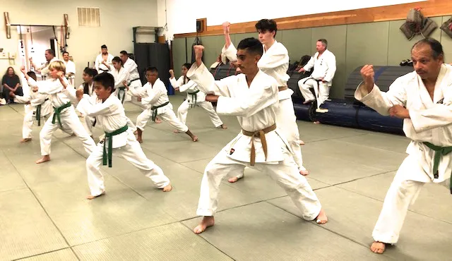 Koei Kan Karate-Santa Barbara Picture 1
