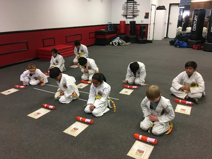 Shaolin Academy Martial Arts 4S Ranch Picture 2