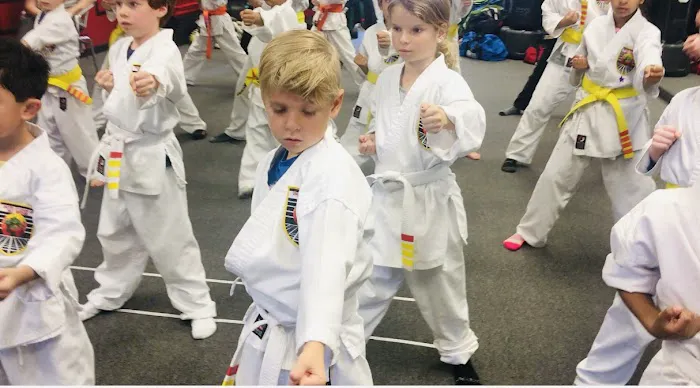 Shaolin Academy Martial Arts 4S Ranch Picture 3