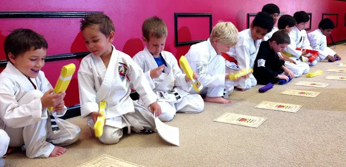 Shaolin Academy Martial Arts 4S Ranch Picture 4