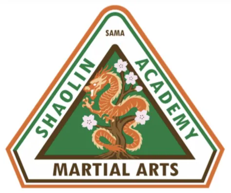 Shaolin Academy Martial Arts 4S Ranch Picture 7