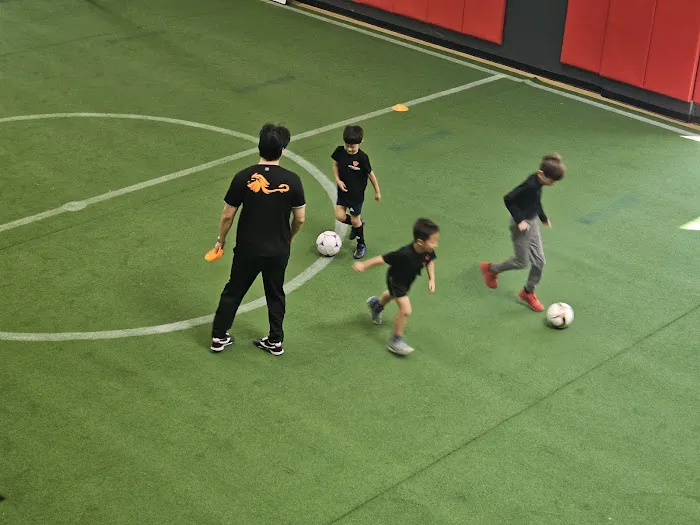 MP Class A Academy Picture 5