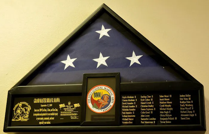 Manna's Martial Arts Picture 8