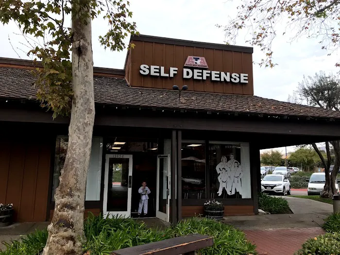 Impact Martial Arts Picture 5