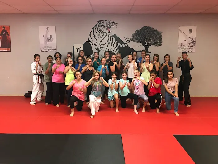 Impact Martial Arts Picture 3