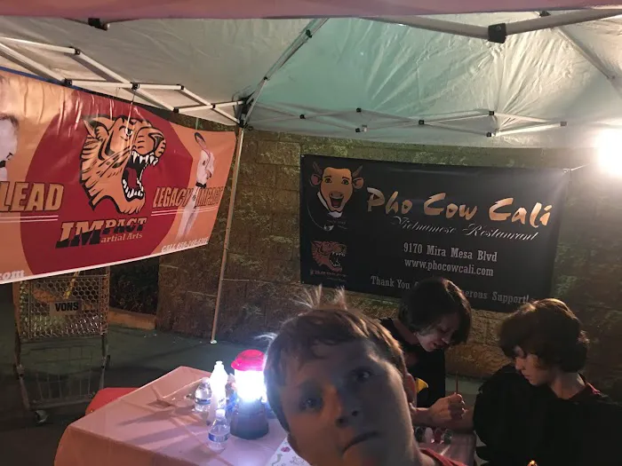 Impact Martial Arts Picture 4