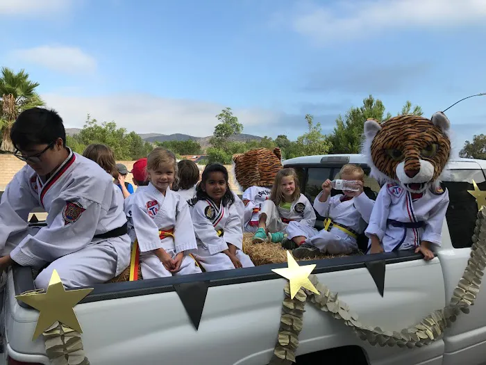 Impact Martial Arts Picture 8