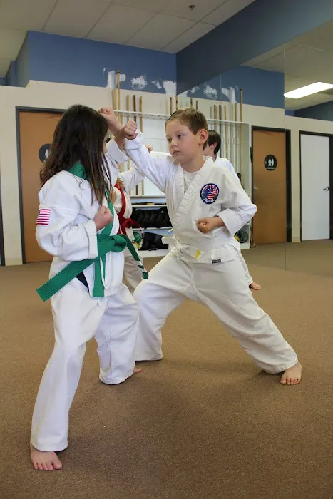 Center for Martial Arts Picture 3