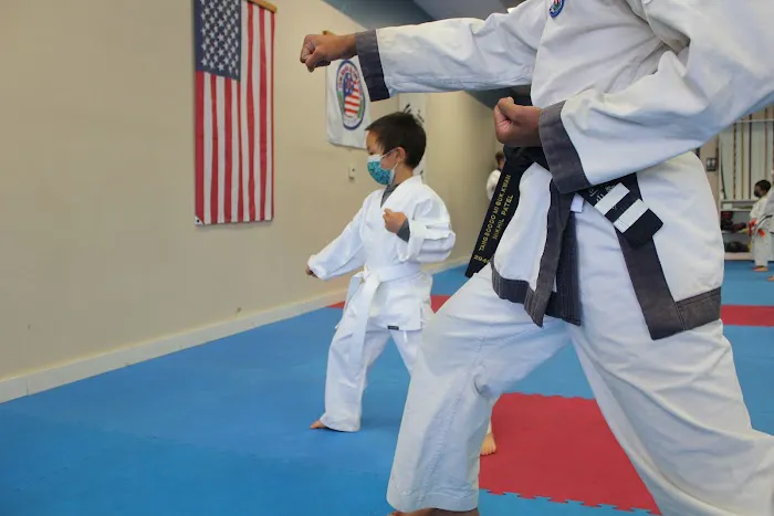 Center for Martial Arts Picture 6