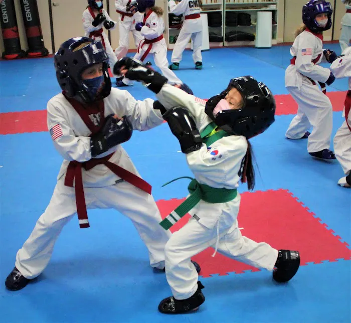 Center for Martial Arts Picture 4