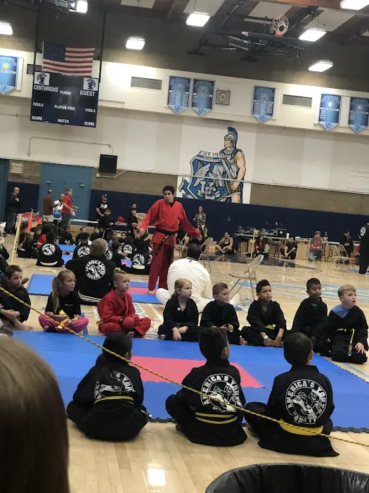 AYOP-America's Youth Outreach Programs Picture 10