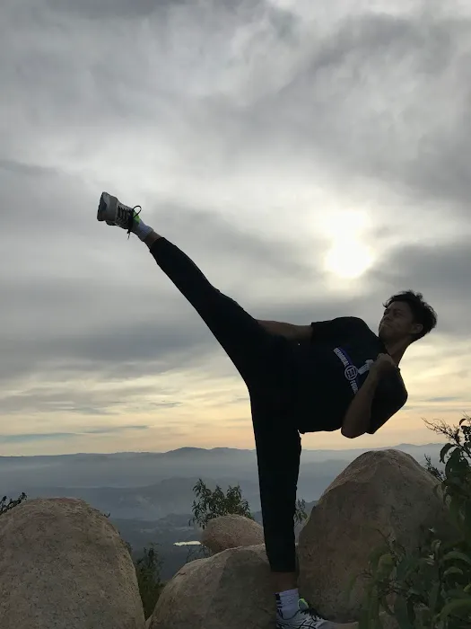 KickForce Martial Arts Picture 3