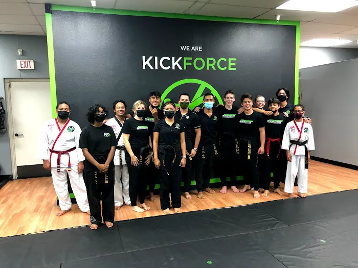KickForce Martial Arts Picture 7