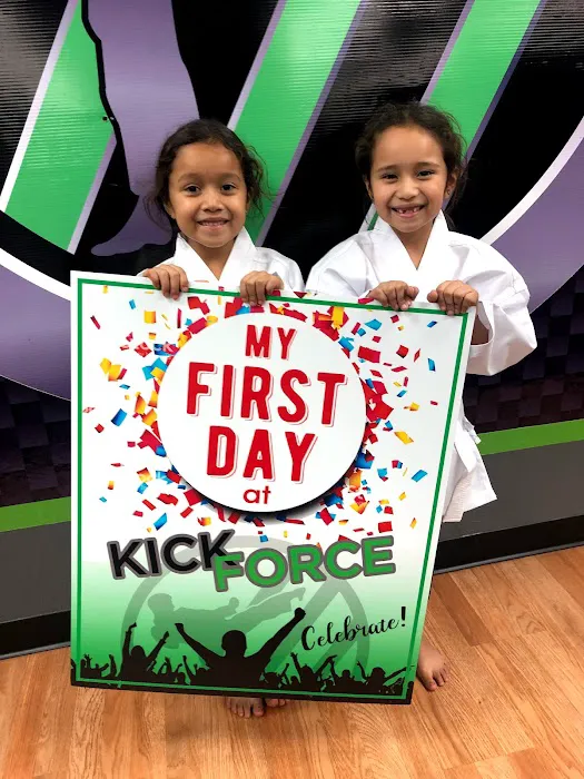 KickForce Martial Arts Picture 8