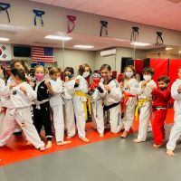 Eagle Martial Arts ico