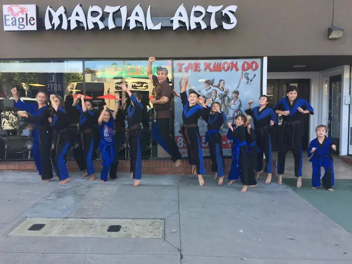 Eagle Martial Arts Picture 2