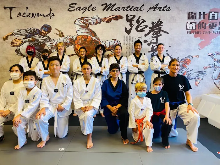 Eagle Martial Arts Picture 6