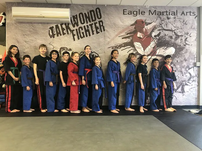 Eagle Martial Arts Picture 7