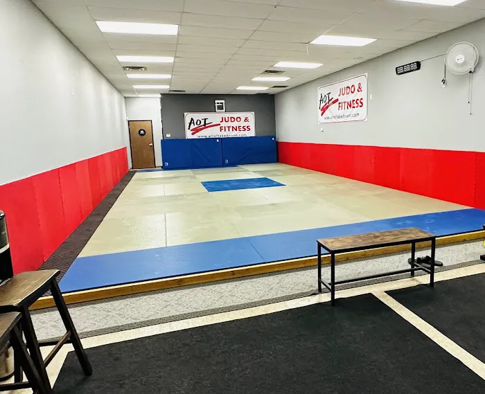 Art of Takedowns - Judo & Grappling Academy Picture 1