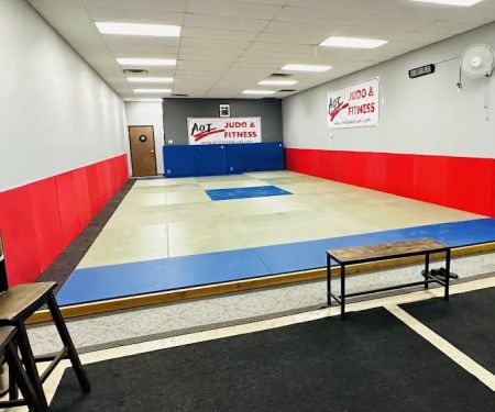 Art of Takedowns - Judo & Grappling Academy