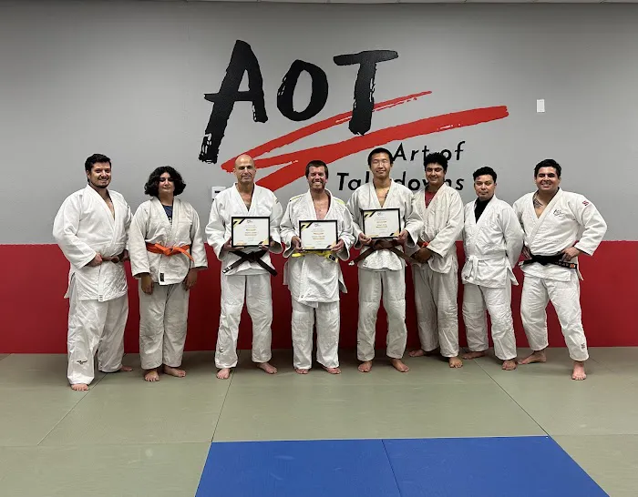 Art of Takedowns - Judo & Grappling Academy Picture 5