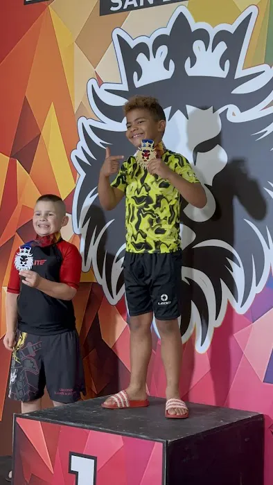 Art of Takedowns - Judo & Grappling Academy Picture 3