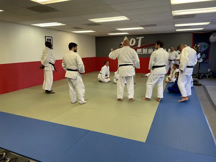 Art of Takedowns - Judo & Grappling Academy Picture 10