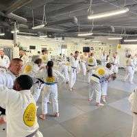 Lebre Jiu Jitsu ico