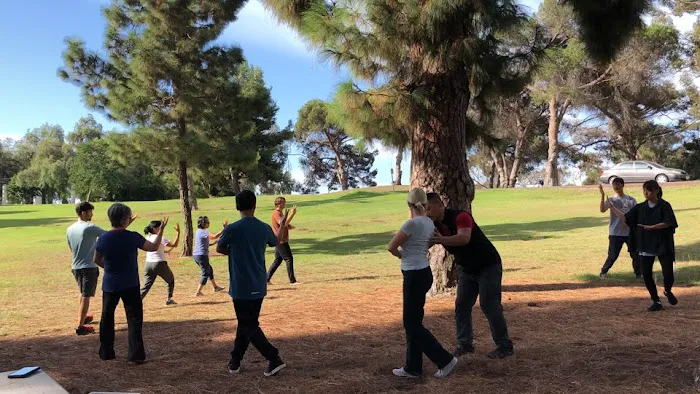 Golden Rishi Qigong & Tai Chi Picture 5