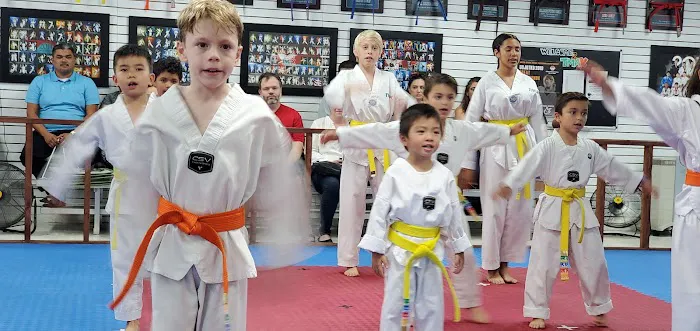 True Martial Arts Excellence (TMAX) Picture 1