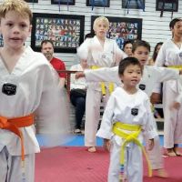 True Martial Arts Excellence (TMAX) ico