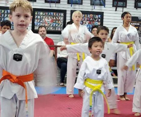 True Martial Arts Excellence (TMAX)