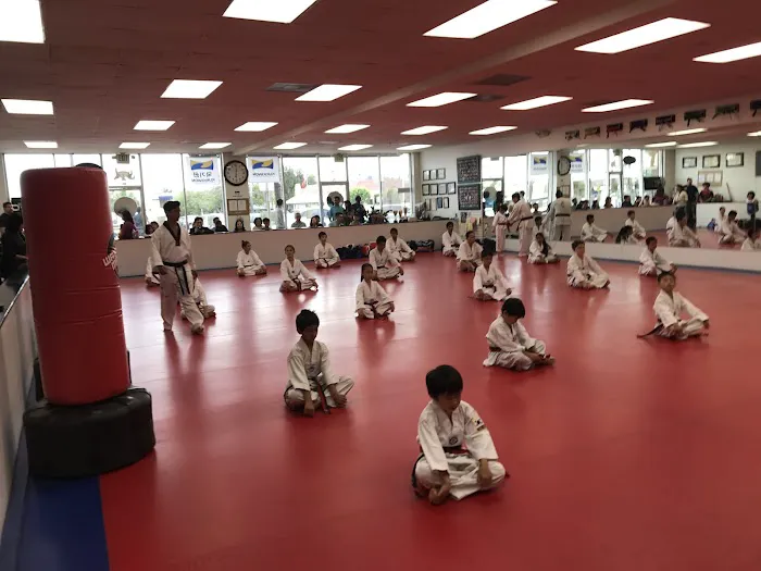 Best US Tae Kwon DO Academy Picture 5