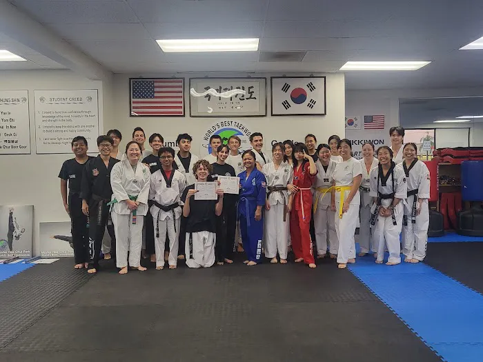 World's Best Taekwondo Picture 2