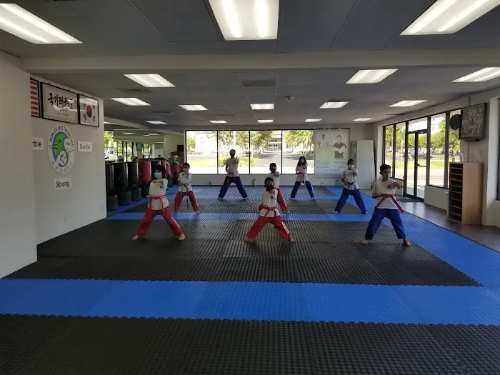 World's Best Taekwondo Picture 1