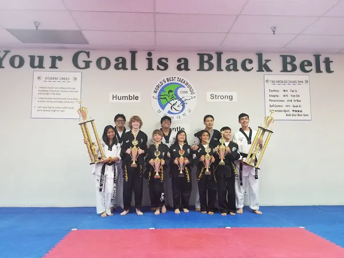 World's Best Taekwondo Picture 7